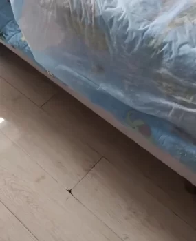 开发区能舔2小时的小m